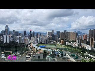 司徒拔道 - 东山台10号 03