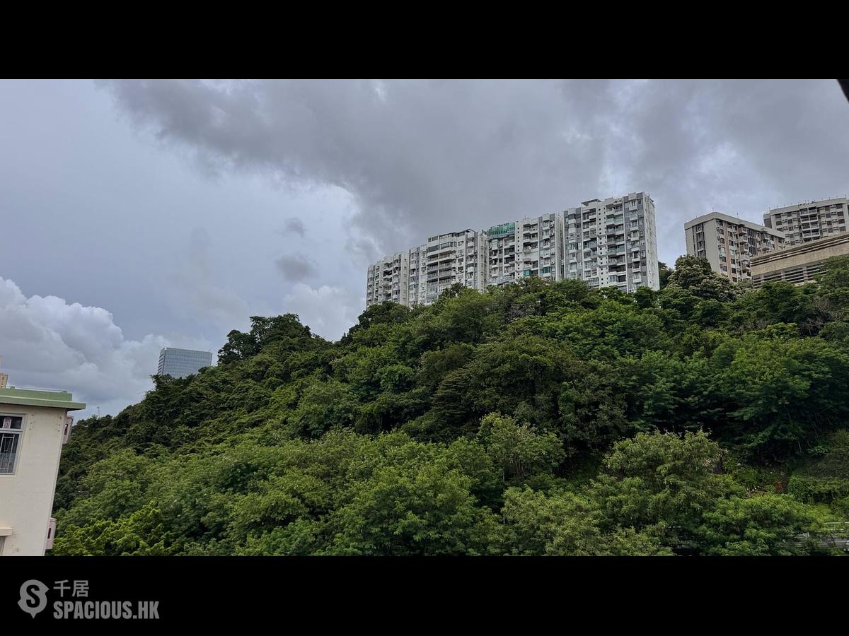 北角 - 百福花园 01