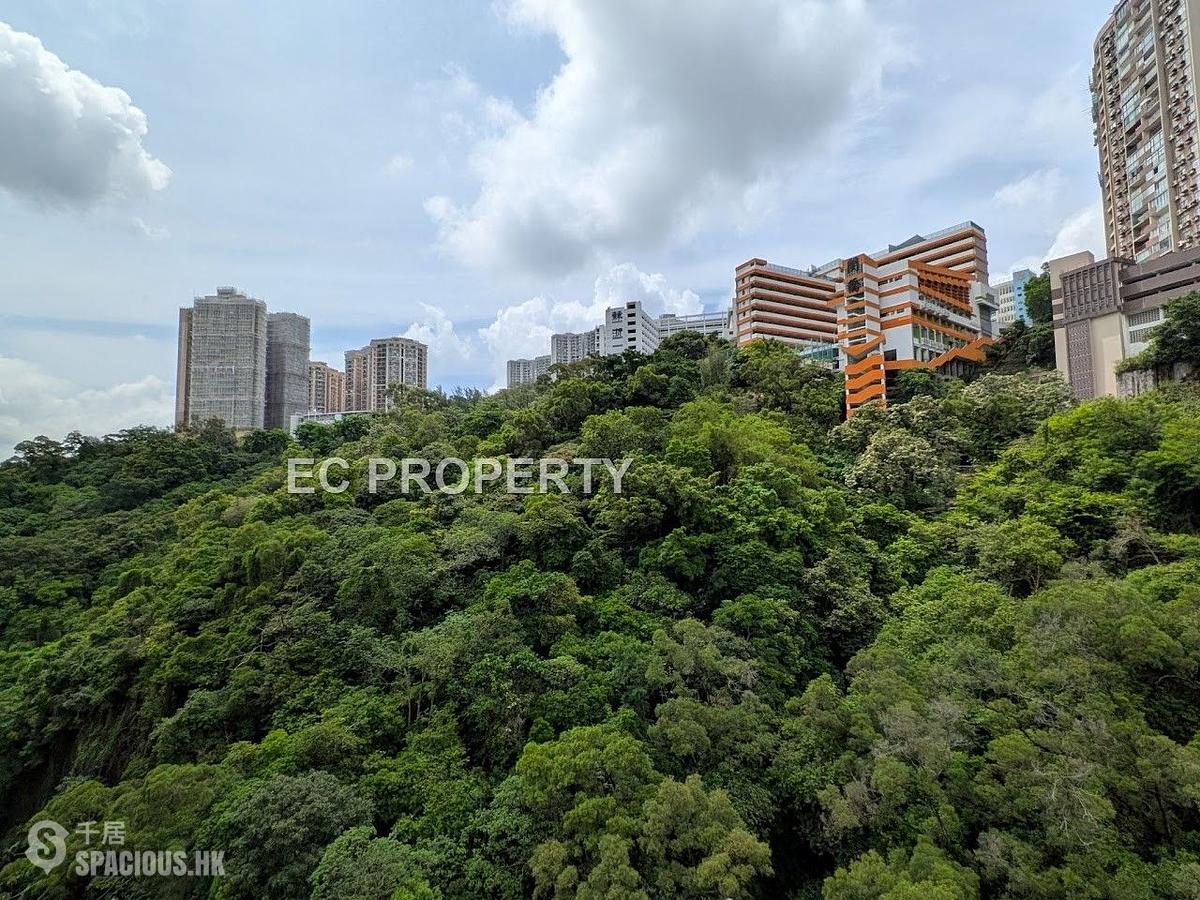 North Point - Lime Habitat 01