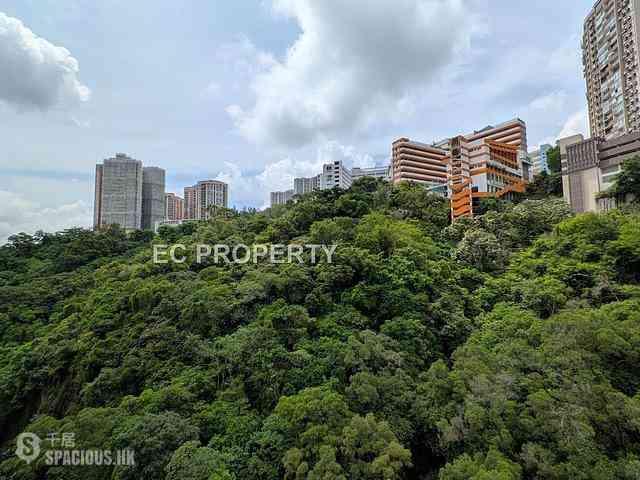 North Point - Lime Habitat 01