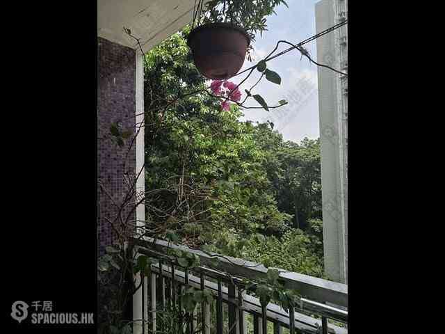 Pok Fu Lam - Four Winds Apartment 06