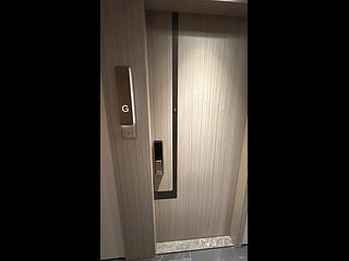 Shau Kei Wan - Lime Gala 04