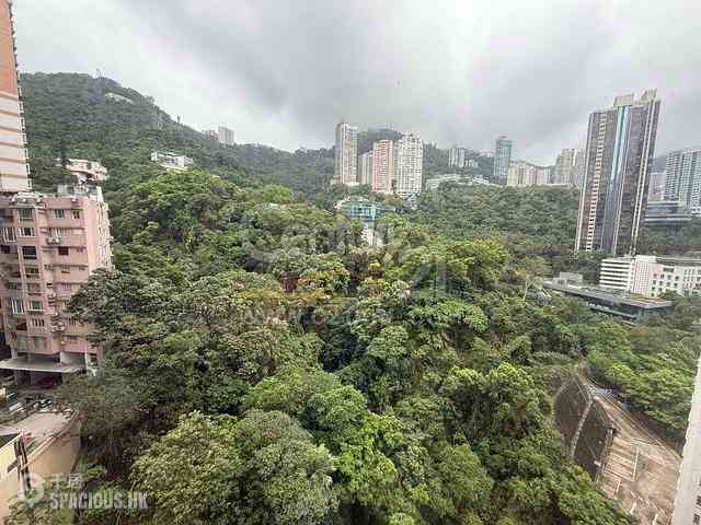 Wan Chai - Star Crest 01