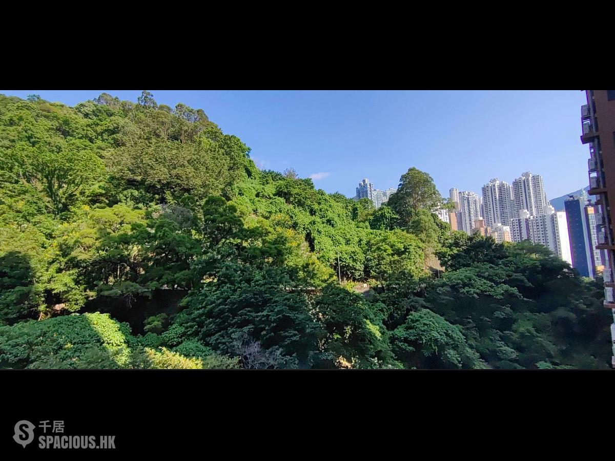 天后 - 柏傲山3座 01
