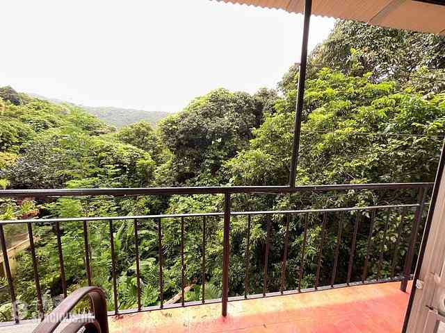 South Lantau - Lo Uk 04