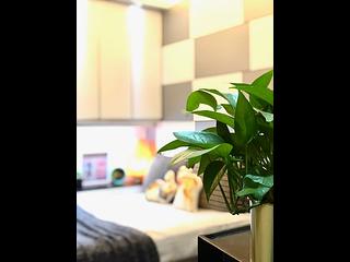 Causeway Bay - Phoenix Apartments 05