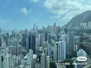 Shek Tong Tsui - The Belcher's 03