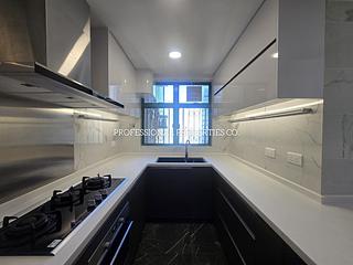 Mid Levels Central - Robinson Place 08