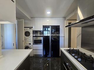 Mid Levels Central - Robinson Place 09