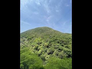 鴨脷洲 - 南湾6座 10