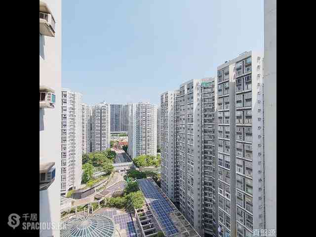 茶果岭 - 丽港城 01