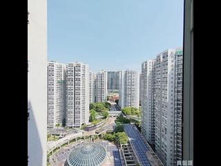 茶果嶺 - 麗港城 09