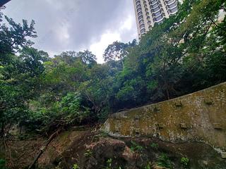 東半山 - 丰乐新邨B座 11