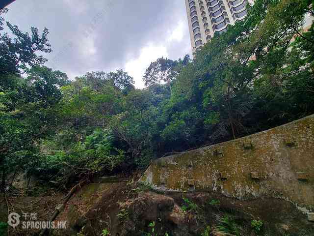 東半山 - 豐樂新邨B座 11
