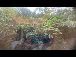 東半山 - 豐樂新邨B座 07