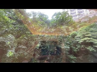 東半山 - 豐樂新邨B座 12