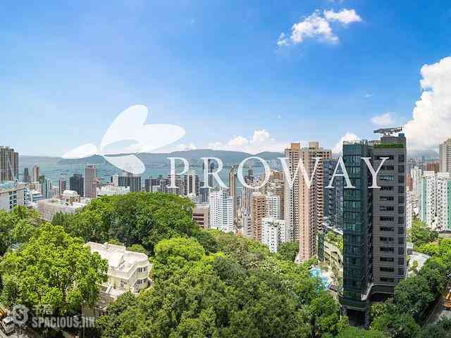 西半山 - 宝珊道1号 01