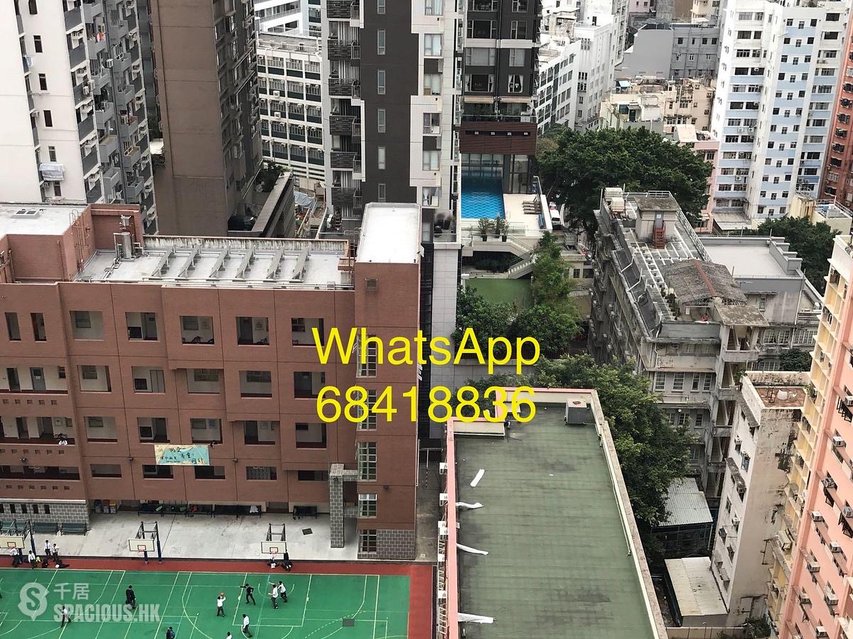 西营盘 - 明德山 01