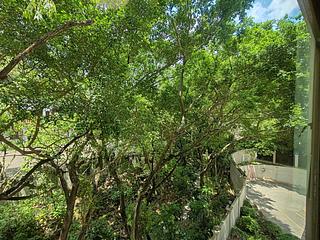 Tai Po - Classical Gardens 08