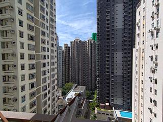 西营盘 - 63 Pokfulam 03