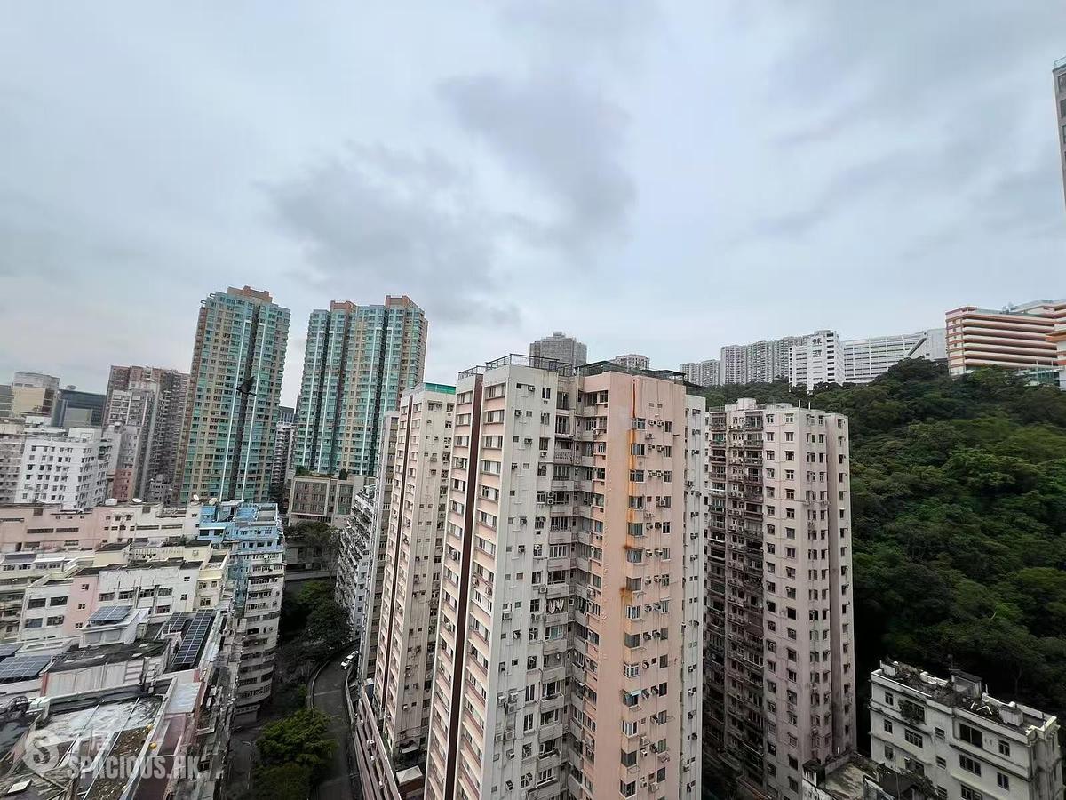 北角 - 曉峰 01