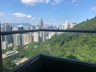 東半山 - Bowen's Lookout 15