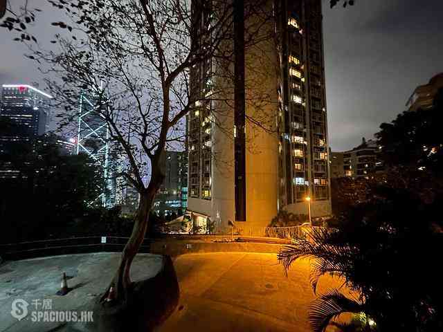 中半山 - 百輝大廈 01