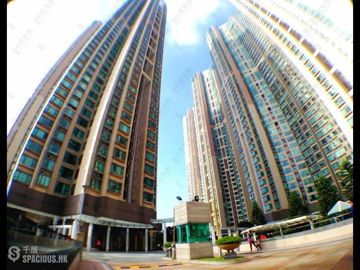 Shek Tong Tsui - The Belcher's Phase 2 Block 6 01