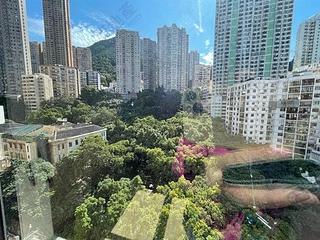 西半山 - 柏苑 10