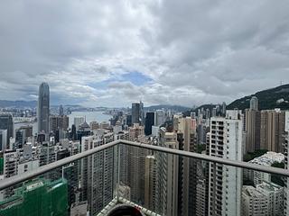 中半山 - 罗便臣道31号 09