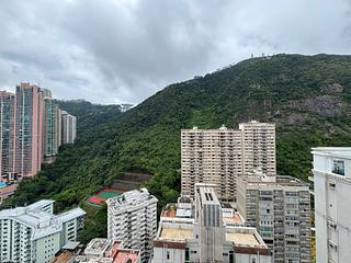 中半山 - 罗便臣道31号 10