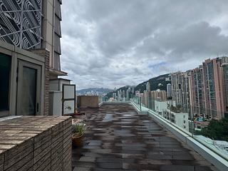 中半山 - 罗便臣道31号 38
