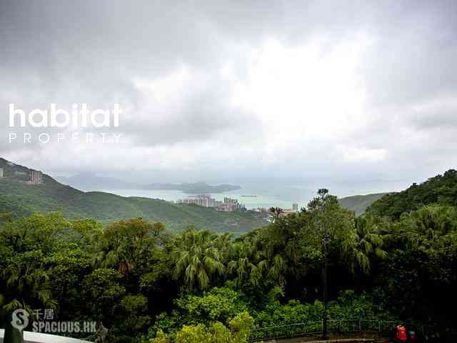 山顶 - The Mount Austin 01