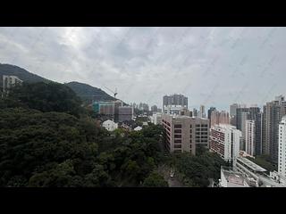 西半山 - 琼峰台 04