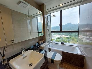 Sha Tin - Mount Arcadia 06