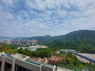 Sha Tin - Mount Arcadia 08
