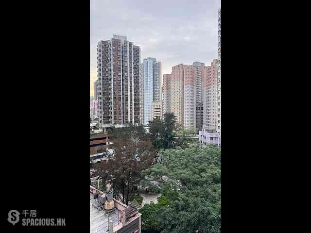Shau Kei Wan - Oria 06