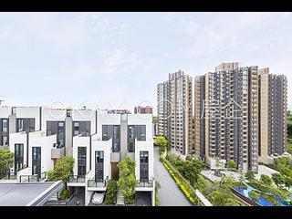 黄金海岸/扫管笏 - The Carmel 07
