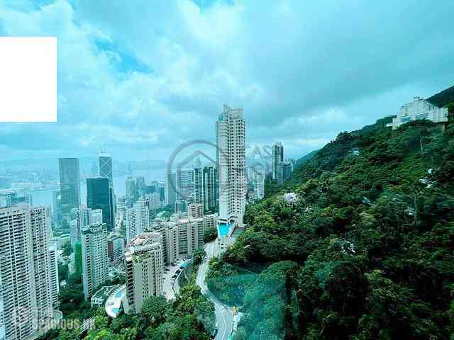 中半山 - 世纪大厦2座 01