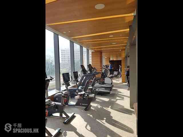 Shau Kei Wan - Lime Gala Block 1B 02