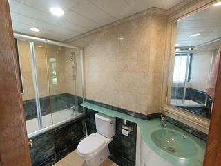 Mid Levels Central - Fairlane Tower 09