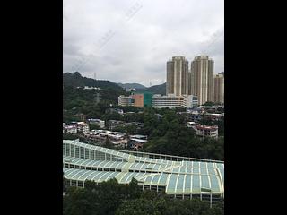 大围 - 金辉花园 02