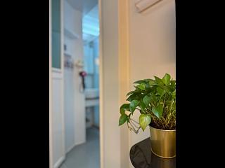 Causeway Bay - Phoenix Apartments 10