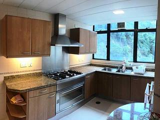 Mid Levels Central - Fairlane Tower 02