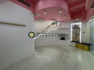 中半山 - 坚道47A-47B号 03