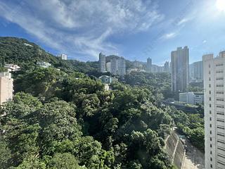 Wan Chai - Star Crest 03