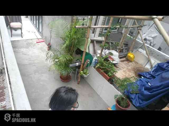 Poho - 38, Tung Street 17