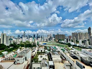 司徒拔道 - 东山台10号 11