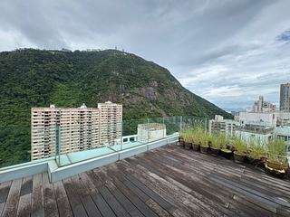 中半山 - 罗便臣道31号 37