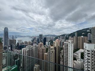 中半山 - 罗便臣道31号 41